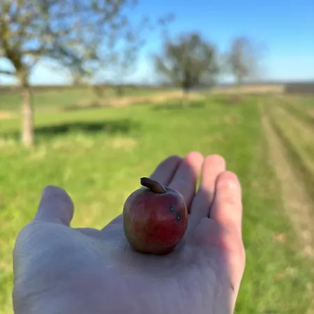 Panorama-auszeit In Apartment Trierweiler