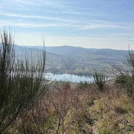 Panorama-auszeit In アパート Trierweiler