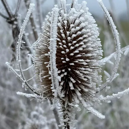 Panorama-auszeit In アパート *