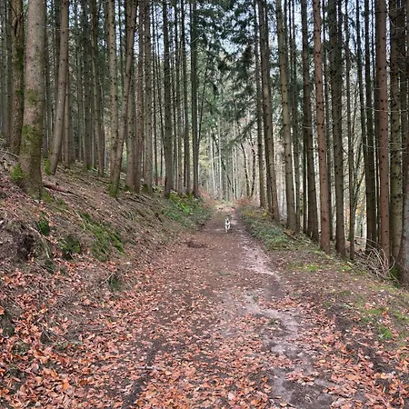 Panorama-auszeit In *