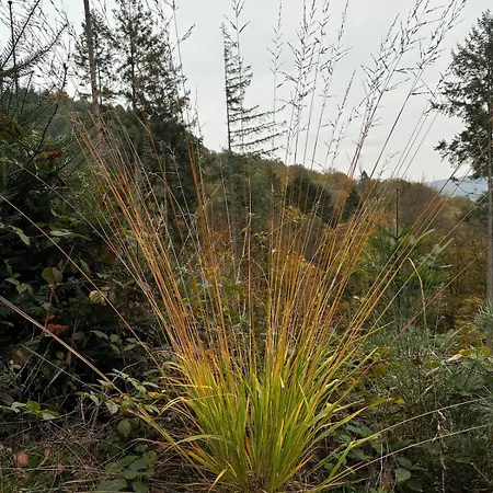 Panorama-auszeit In アパート *