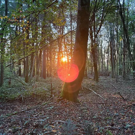 Panorama-auszeit In *