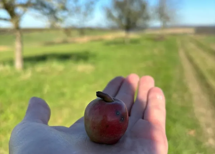 Panorama-auszeit In Apartamento Trierweiler