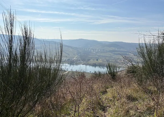 Panorama-auszeit In Apartamento Trierweiler