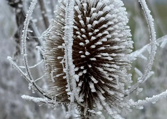 Panorama-auszeit In Apartamento *
