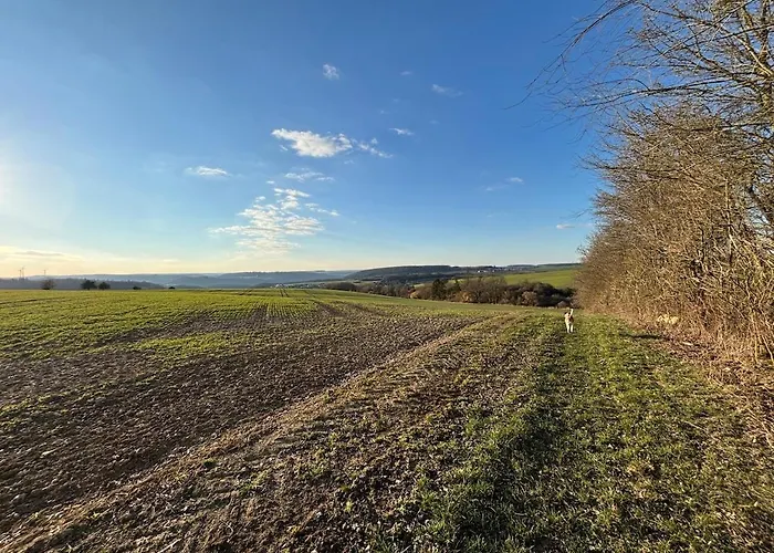 Panorama-auszeit In Apartamento *