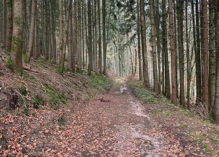 Panorama-auszeit In *