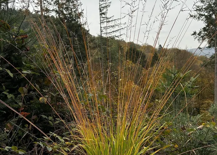 Panorama-auszeit In Apartamento *