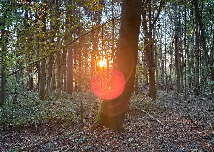 Panorama-auszeit In *